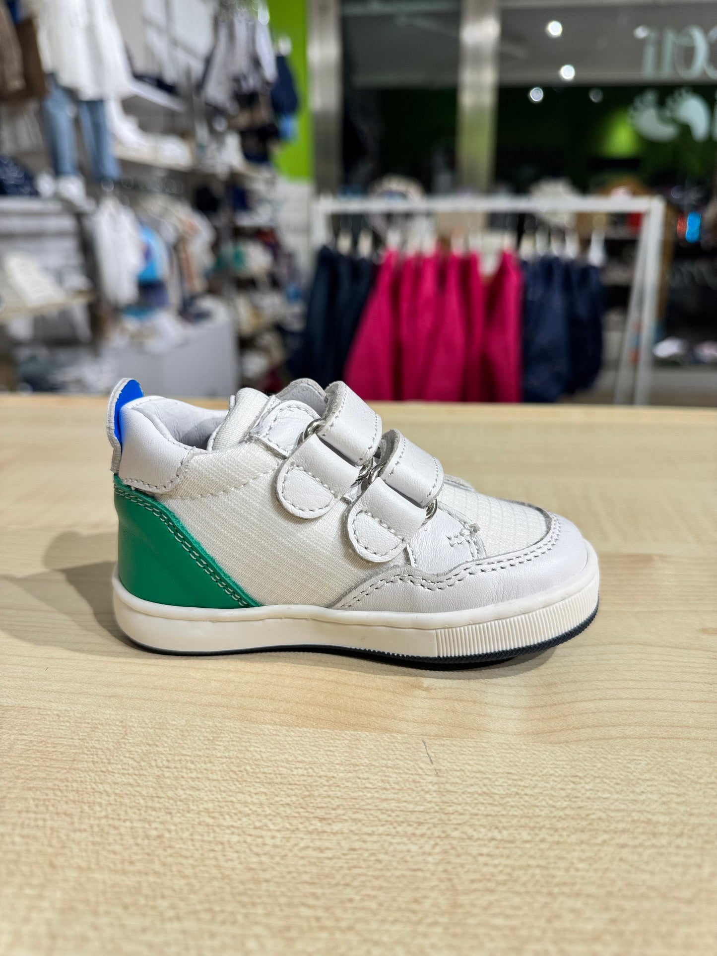 Primi passi Balducci Soft