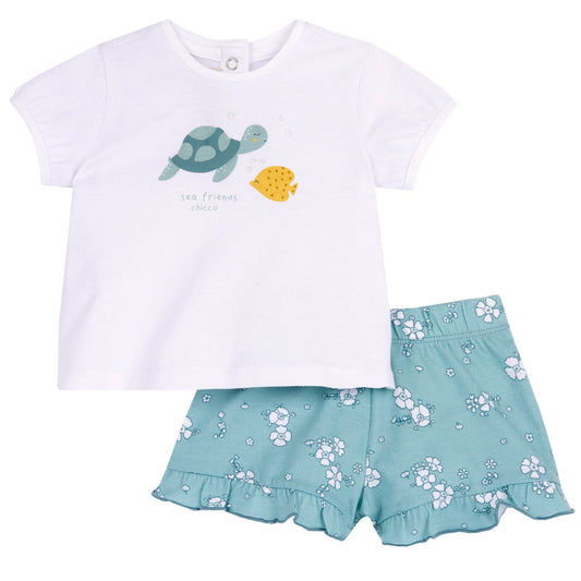 Completo bimba